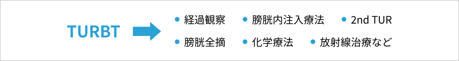 TURBT → 経過観察/膀胱内注入治療/2nd TUR/膀胱全摘/化学療法/放射線治療など