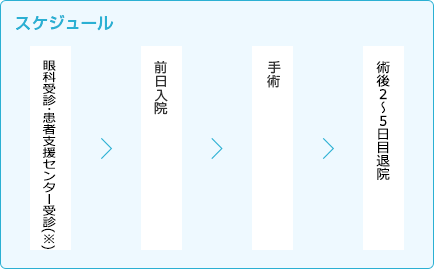 スケジュール