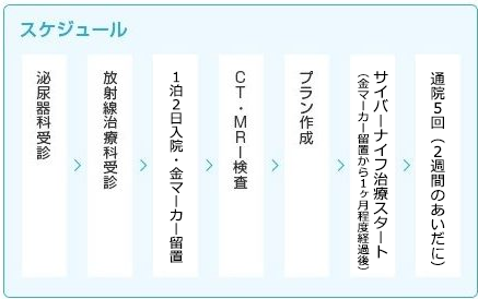 スケジュール