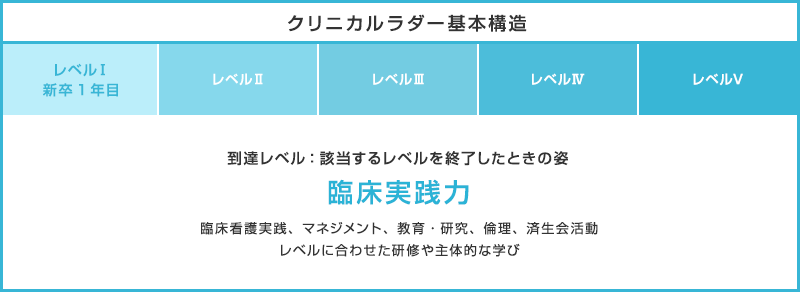 クリニカルラダー基本構造