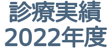 診療実績2022年度