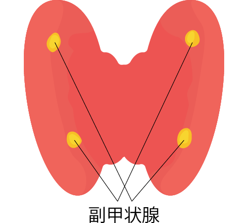 副甲状腺腫瘍