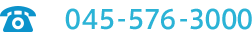 電話番号：045-576-3000