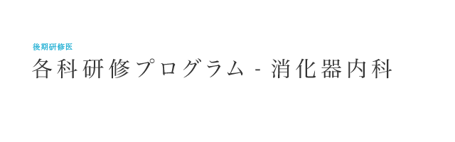   研修各科プログラム – 消化器内科