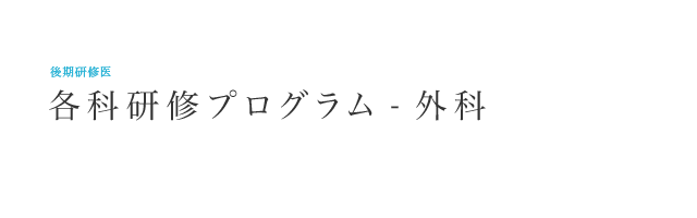   研修各科プログラム – 外科