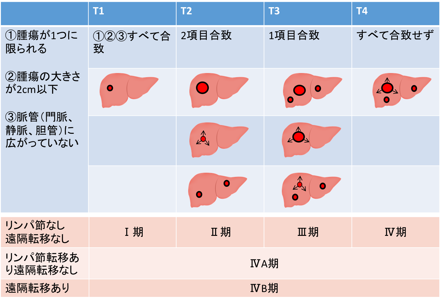 症状 初期 肝臓 ん が 肝機能の低下がわかるセルフチェックと肝臓病の初期症状の12のサイン（赤い湿疹・斑点など）！