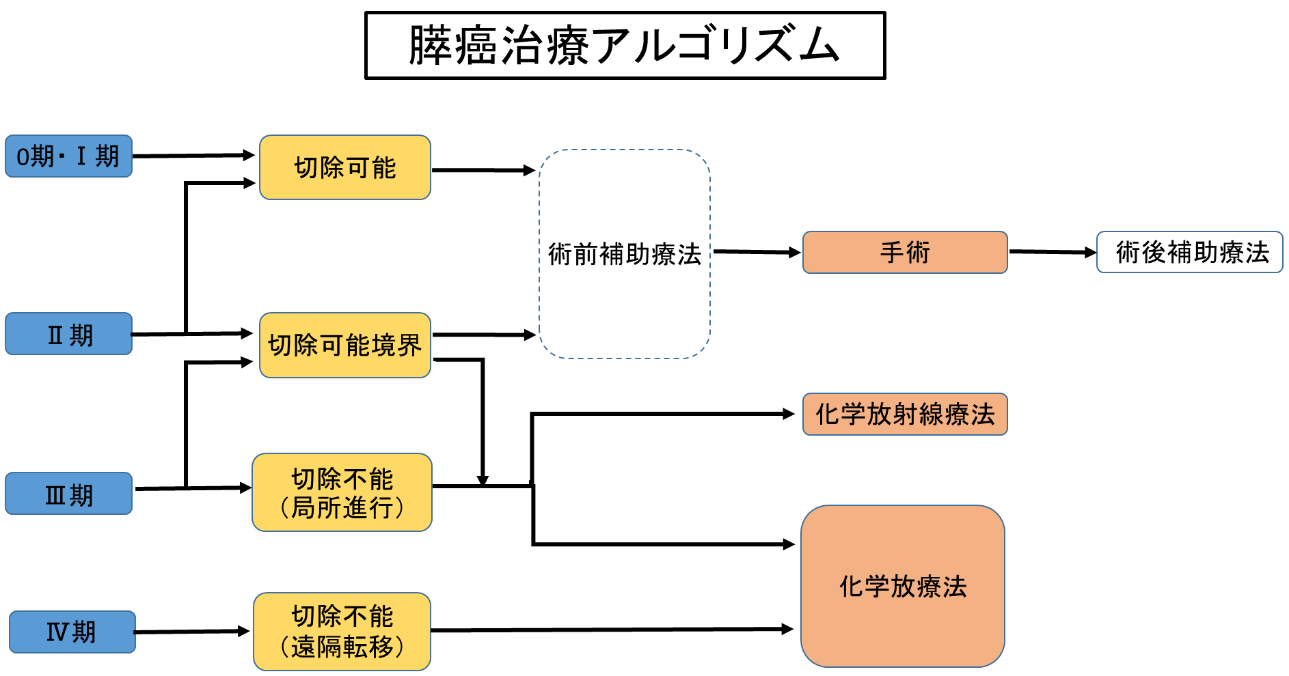 原因 の 膵臓 癌