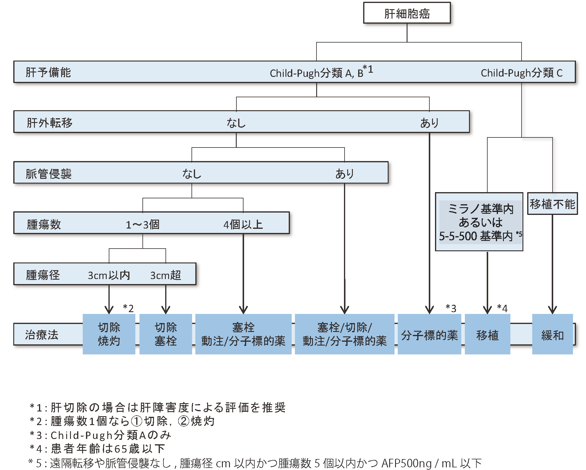 肝臓がん 済生会横浜市東部病院