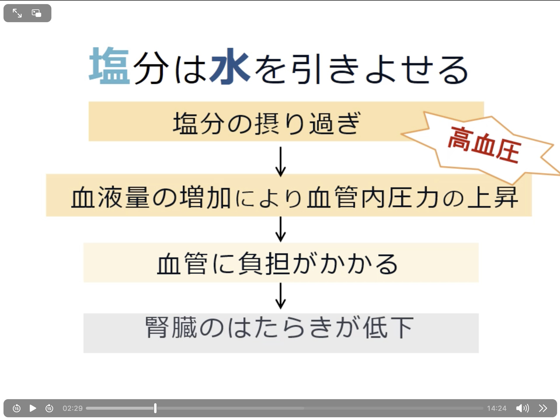 動画でわかる「慢性腎不全の食事療法」公開中 済生会横浜市東部病院